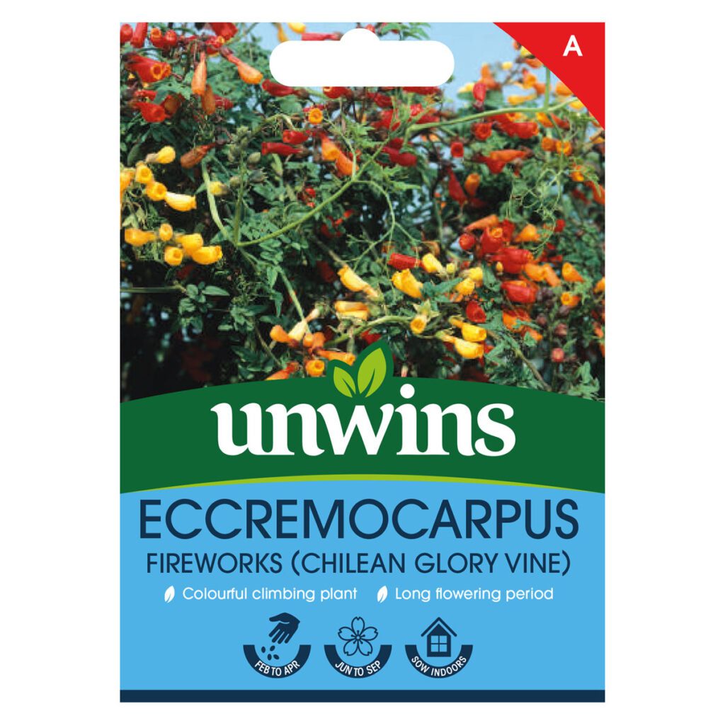 Unwins Eccremocarpus Fireworks Seeds 5051618035064 2